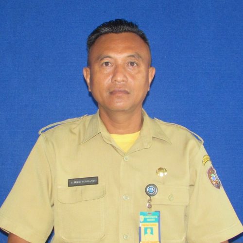 Dwi Joko Purwanto
