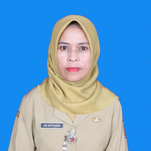 SRI SETYORINI, S.Kep.Ns